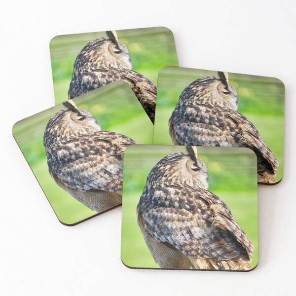 Item preview, Brown Owl in a Wild Meadow - Atmospheric Wildlife Photography designed and sold by leonwoods.