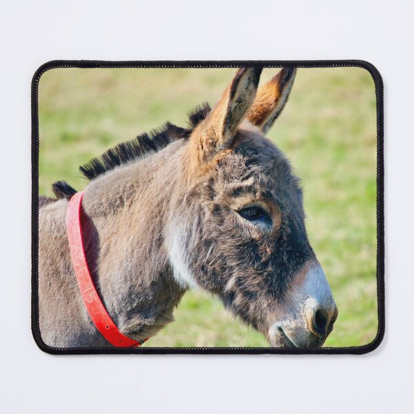Item preview, Gentle Donkey Portrait - Rustic Farmhouse Wall Art designed and sold by leonwoods.