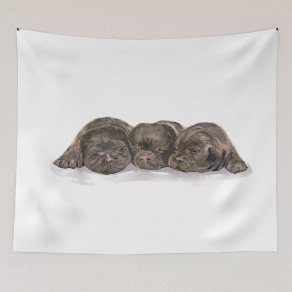 Aperçu de l'œuvre Chiots Labrador dormant - Fond blanc créée et vendue par Ran My Art.