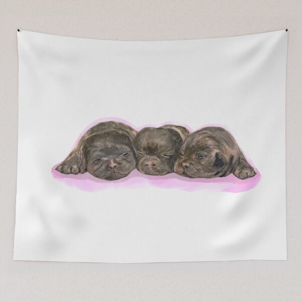 Aperçu de l'œuvre Chiots Labrador dormant - Fond rose créée et vendue par Ran My Art.