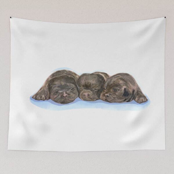 Aperçu de l'œuvre Chiots Labrador dormant - Fond bleu créée et vendue par Ran My Art.