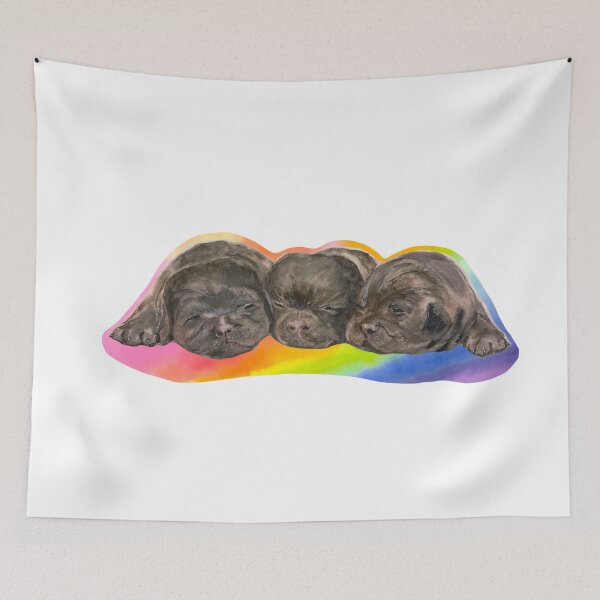 Aperçu de l'œuvre Chiots Labrador dormant - Fond arc-en-ciel créée et vendue par Ran My Art.