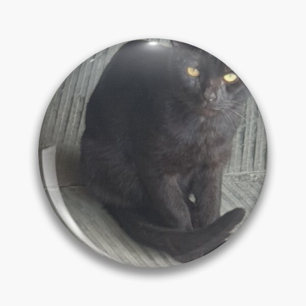 Item preview, Black Stray Cat in Urban Environment designed and sold by Serene83.