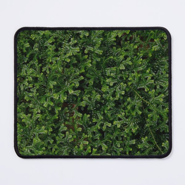 Item preview, the delicate moss fern designed and sold by Erich-Remde.