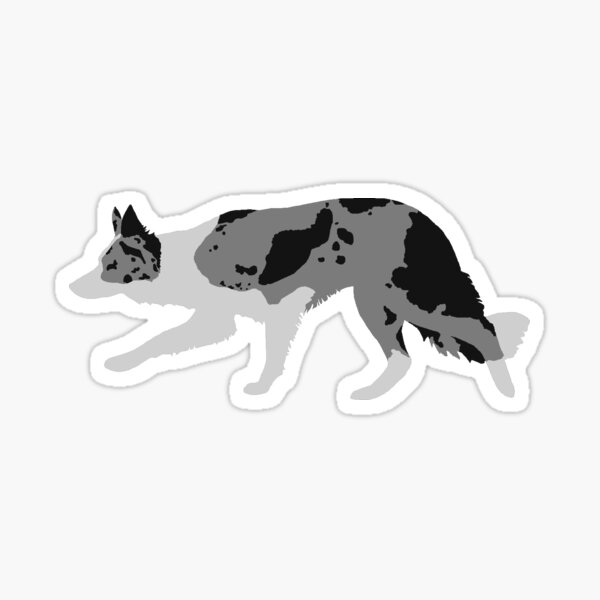 Border Collie (Blue Merle and White) Sticker