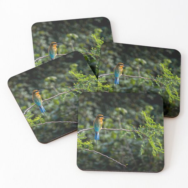 Item preview, Colorful Bee-eater Bird Resting on Branch Wildlife Photography designed and sold by LensAndJi.