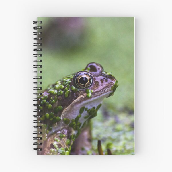 Item preview, Nosey Frog designed and sold by andyroberts64.