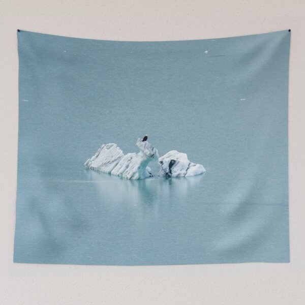 Item preview, Eagle on Glacier designed and sold by TinyDinoDesigns.
