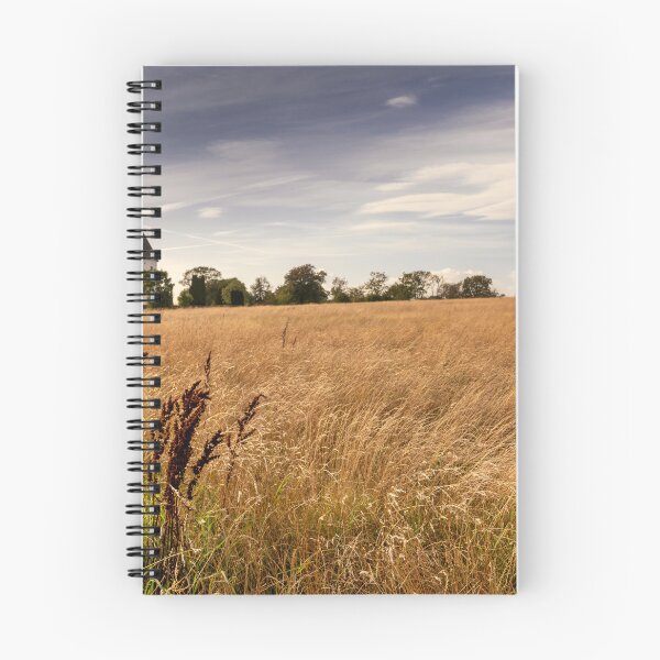 Item preview, The Church of Saint Olaf designed and sold by DiFigianoPhoto.