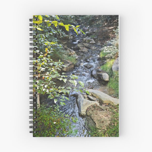 Item preview, Serene Forest Stream designed and sold by Makaronia.