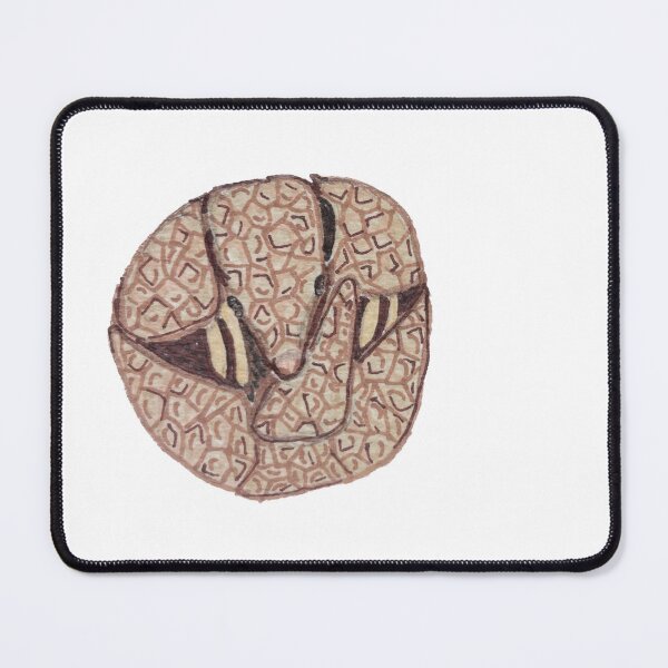Item preview, Three Banded Armadillo designed and sold by Katy Did Art.