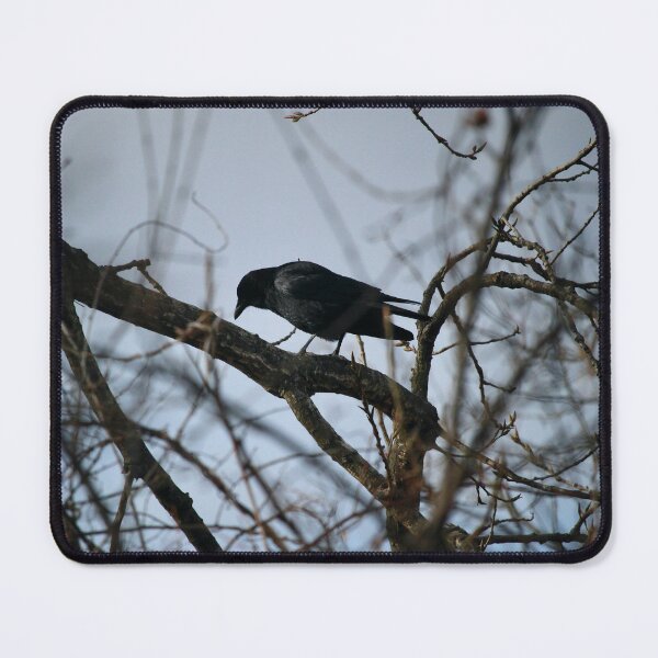 Item preview, Watcher in the Branches designed and sold by recoveringartist.