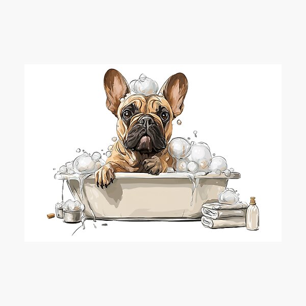 Item preview, Splish Splash Frenchie Bath Time designed and sold by moodyfyit.