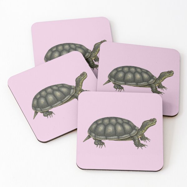 Item preview, Blanding's Turtle designed and sold by Everix's Studio.
