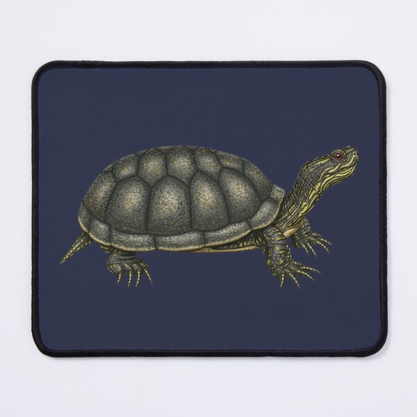 Item preview, Blanding's Turtle designed and sold by Everix's Studio.