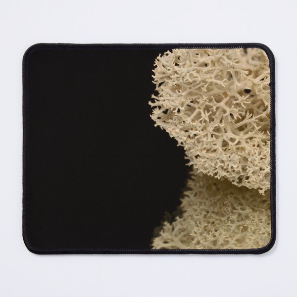 Item preview, Lichen Structure Silent Architecture designed and sold by Goiko7Margarita.