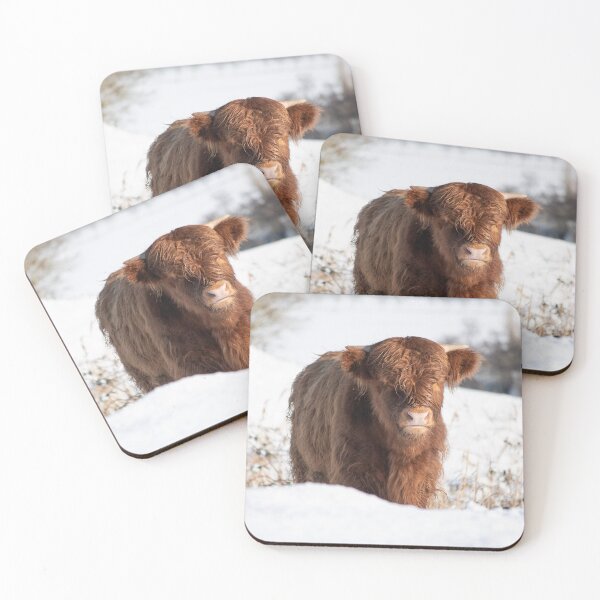 Item preview, Highlander cow in the snow designed and sold by Vanja Rosenthal.