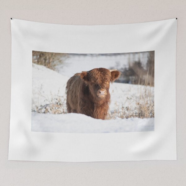 Item preview, Highlander cow in the snow designed and sold by Vanja Rosenthal.