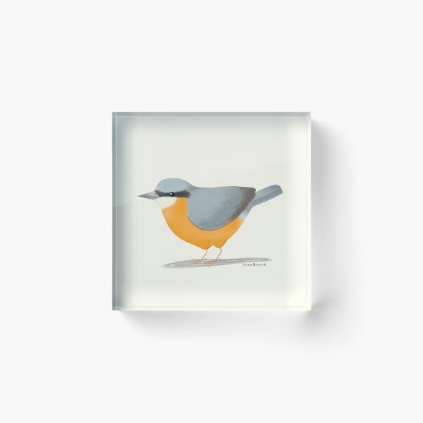 Item preview, Nuthatch designed and sold by julianamotzko.