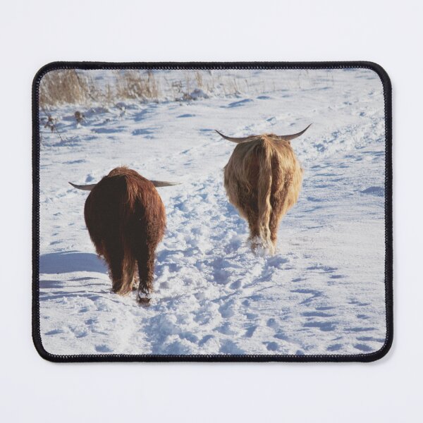 Item preview, Highlander cows walking in the snow designed and sold by Vanja Rosenthal.