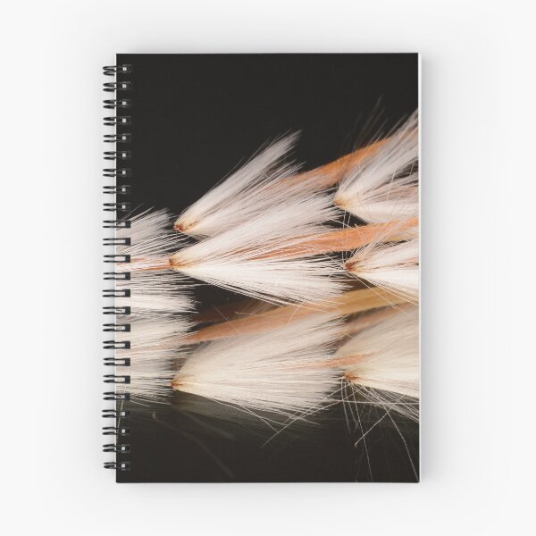 Item preview, Protea Seeds designed and sold by Goiko7Margarita.