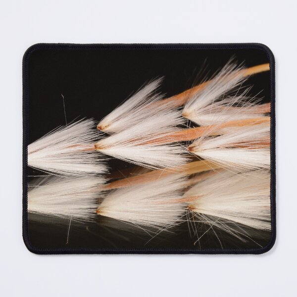 Item preview, Protea Seeds designed and sold by Goiko7Margarita.