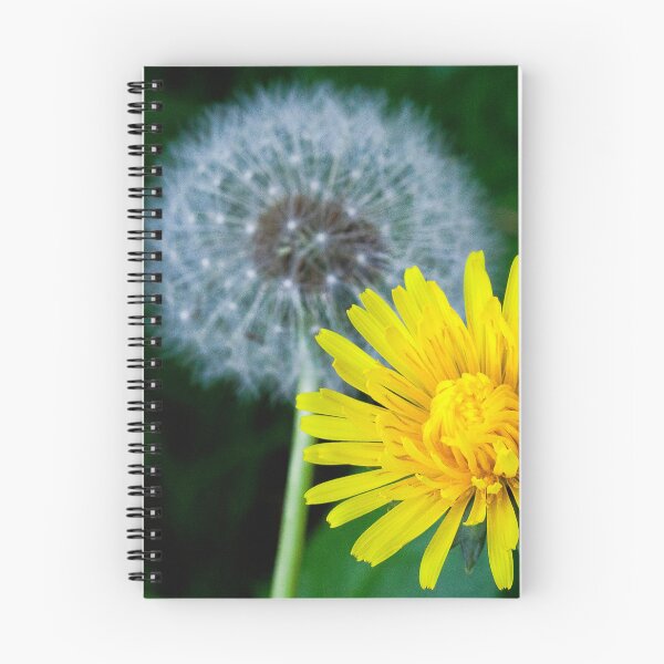Item preview, Vibrant Yellow Dandelion Life Cycle designed and sold by Violaman.