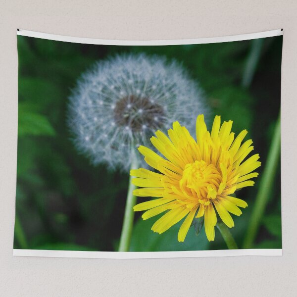 Item preview, Vibrant Yellow Dandelion Life Cycle designed and sold by Violaman.