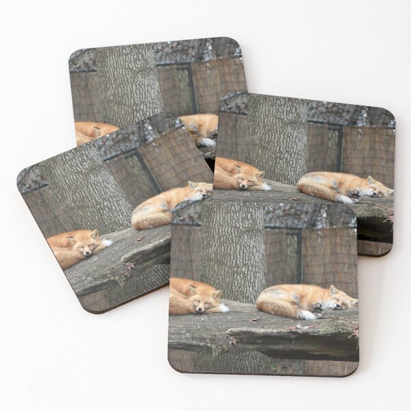 Item preview, Two Red Foxes Sleeping On A Log designed and sold by KillNFuel.