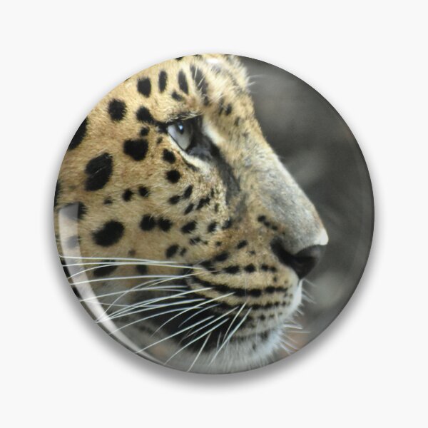 Item preview, Amur Leopard In Deep Thought designed and sold by KillNFuel.