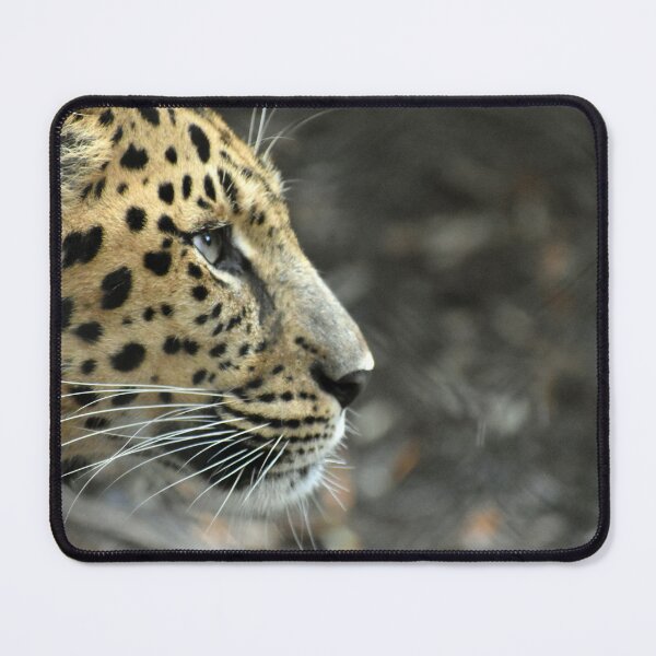 Item preview, Amur Leopard In Deep Thought designed and sold by KillNFuel.
