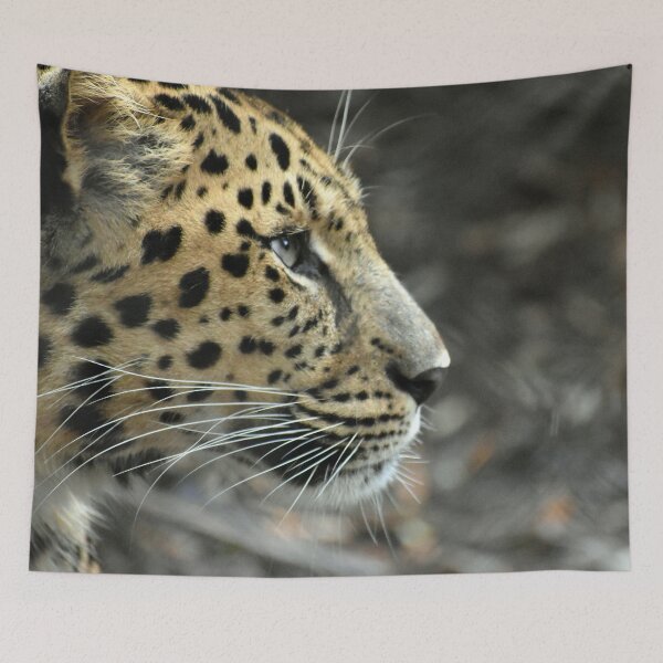 Item preview, Amur Leopard In Deep Thought designed and sold by KillNFuel.