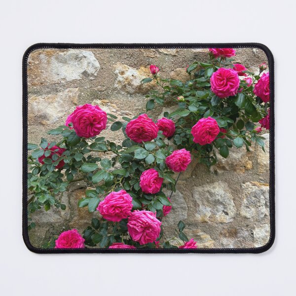 Item preview, Climbing rose on castle wall designed and sold by WAV-Wear-A-Vibe.