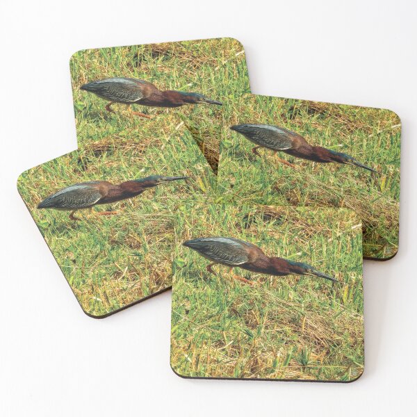 Item preview, Green Heron designed and sold by Kay Brewer.