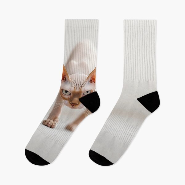Item preview, Curious sphynx cat exploring indoors designed and sold by anytka.