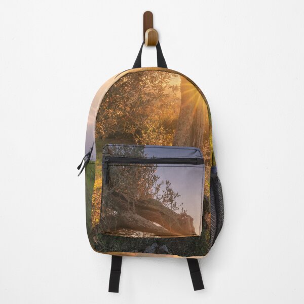 Item preview, Ancient Twisted Olive Tree at Sunset in Tuscany designed and sold by Stefano Orazzini.