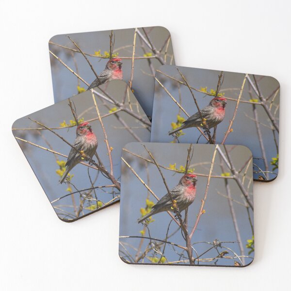 Item preview, Red House Finch in Yellow Flowers designed and sold by Cokie Creations.