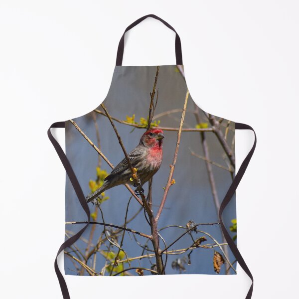 Item preview, Red House Finch in Yellow Flowers designed and sold by Cokie Creations.