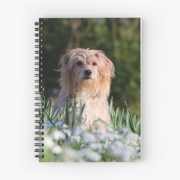 Item preview, Mongrel dog in snowdrops designed and sold by GreyFeatherPhot.