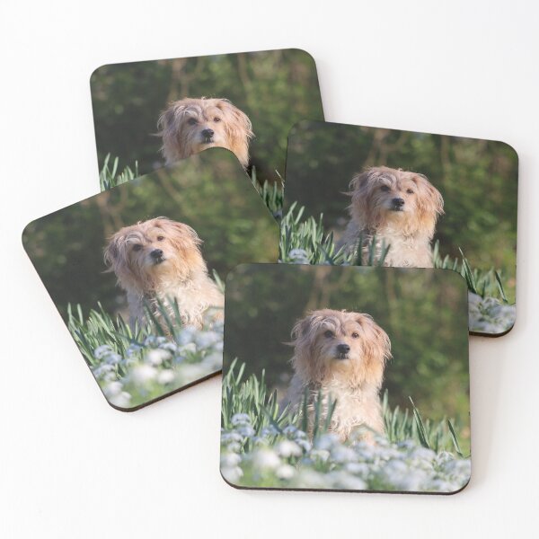 Item preview, Mongrel dog in snowdrops designed and sold by GreyFeatherPhot.