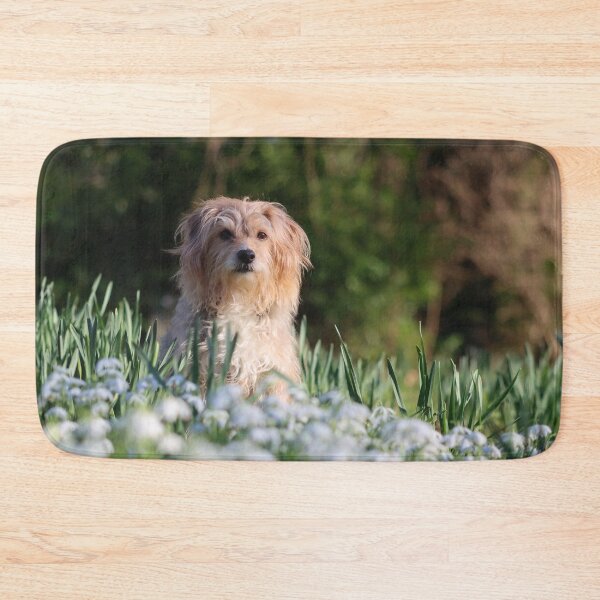 Item preview, Mongrel dog in snowdrops designed and sold by GreyFeatherPhot.