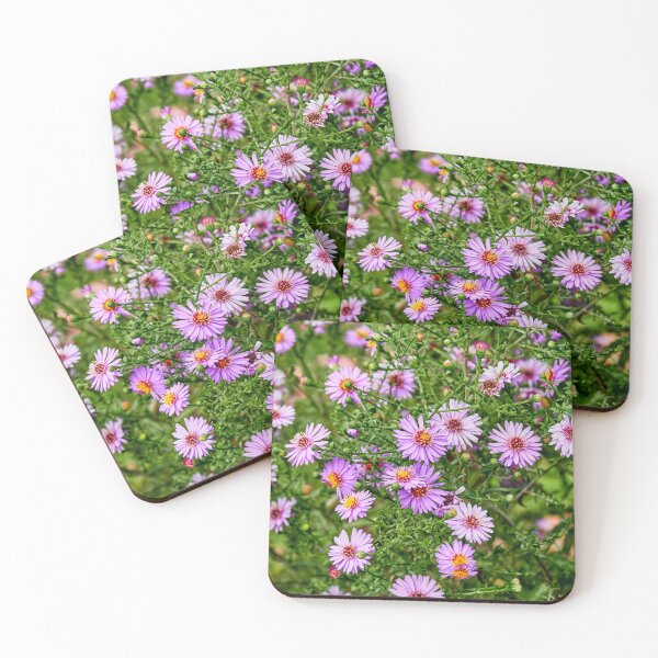 Item preview, Cheerful Aster designed and sold by Eidetic Photos.