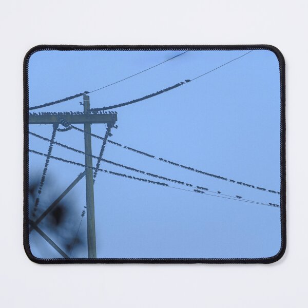 Item preview, Rows and rows of birds of a wire designed and sold by lisavonbiela.