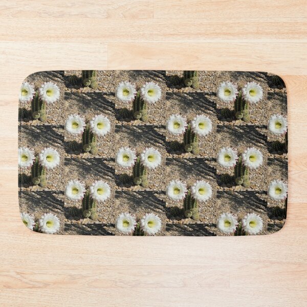Artikelvorschau, Kakteen, weiße Blüten, Nevada – Fotodrucke, Aufkleber, Kaffeetassen-Wandkunst, Geschenk für Zuhause, Büro oder Schule, Magnet, T-Shirt, Schreibwaren, Redbubble-Shop entworfen und verkauft von Saritas Boutique Shop.