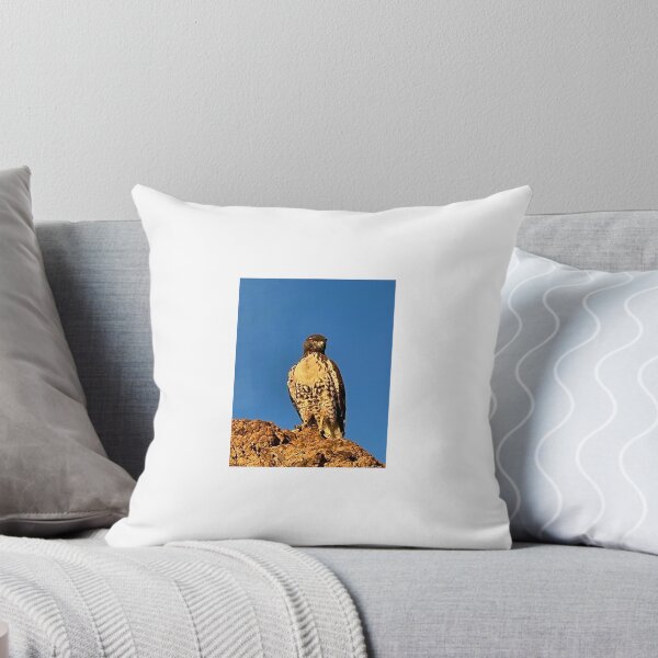 Item preview, Hawk Bird Wildlife Photography Nevada Blue Sky Animal Wings Brown Stickers Magnets Shirts Cards Prints Wall Art Posters Home Decoration Redbubble Shop designed and sold by Saritas Boutique Shop.