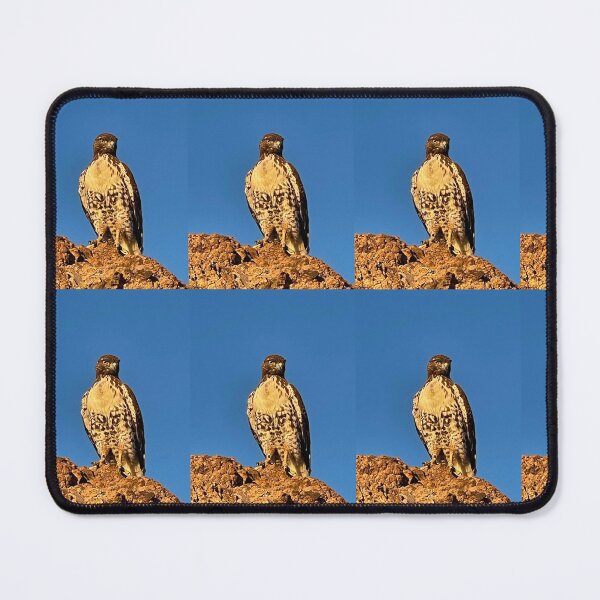 Item preview, Hawk Bird Wildlife Photography Nevada Blue Sky Animal Wings Brown Stickers Magnets Shirts Cards Prints Wall Art Posters Home Decoration Redbubble Shop designed and sold by Saritas Boutique Shop.