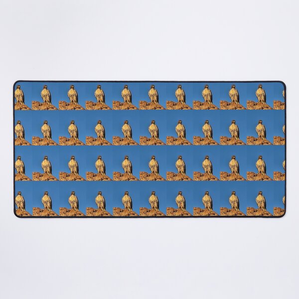 Artikelvorschau, Falkenvogel-Wildtierfotografie Nevada Blauer Himmel Tierflügel Braune Aufkleber Magnete T-Shirts Karten Drucke Wandkunst Poster Heimdekoration Redbubble Shop entworfen und verkauft von Saritas Boutique Shop.