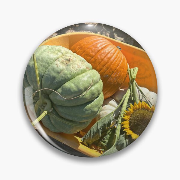Artikelvorschau, Kürbisbeet-Blumenpflanzen, grün, gelb, orange, Herbst-Socken-Aufkleber, Wandbilder, Magnetkarten, Handyhüllen, Redbubble-Shop entworfen und verkauft von Saritas Boutique Shop.
