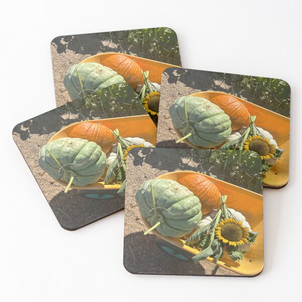 Artikelvorschau, Kürbisbeet-Blumenpflanzen, grün, gelb, orange, Herbst-Socken-Aufkleber, Wandbilder, Magnetkarten, Handyhüllen, Redbubble-Shop entworfen und verkauft von Saritas Boutique Shop.