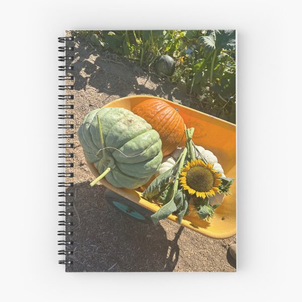 Artikelvorschau, Kürbisbeet-Blumenpflanzen, grün, gelb, orange, Herbst-Socken-Aufkleber, Wandbilder, Magnetkarten, Handyhüllen, Redbubble-Shop entworfen und verkauft von Saritas Boutique Shop.